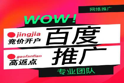 百度竞价排名案例分享：教育行业的成功推广